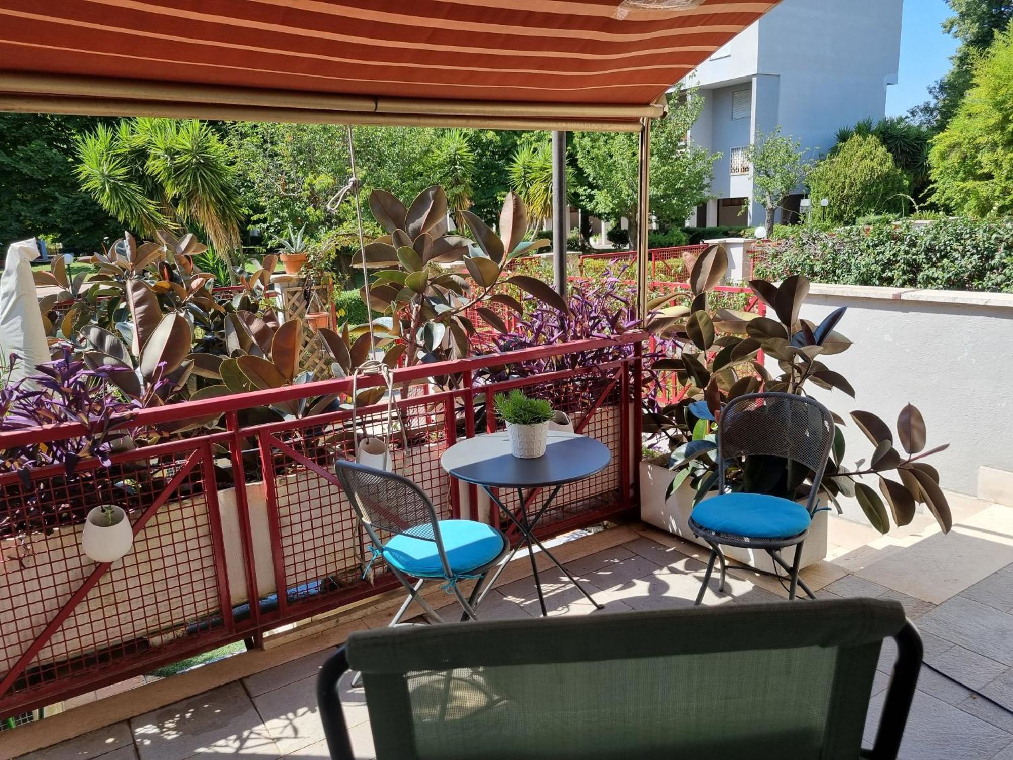 Intero Appartamento Con Giardino E Parcheggio 罗马 外观 照片