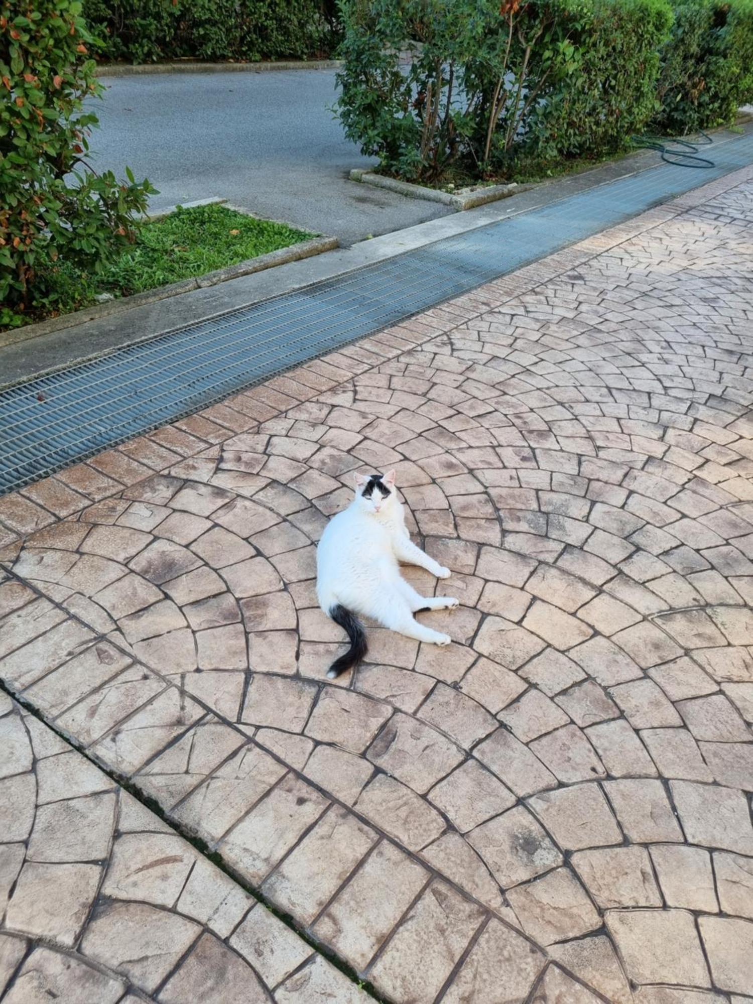 Intero Appartamento Con Giardino E Parcheggio 罗马 外观 照片